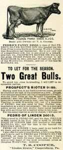 1894 Ad Pedro Pansy Bull Silver Prospect Rioter Linden Grove Jersey Cow CCG1