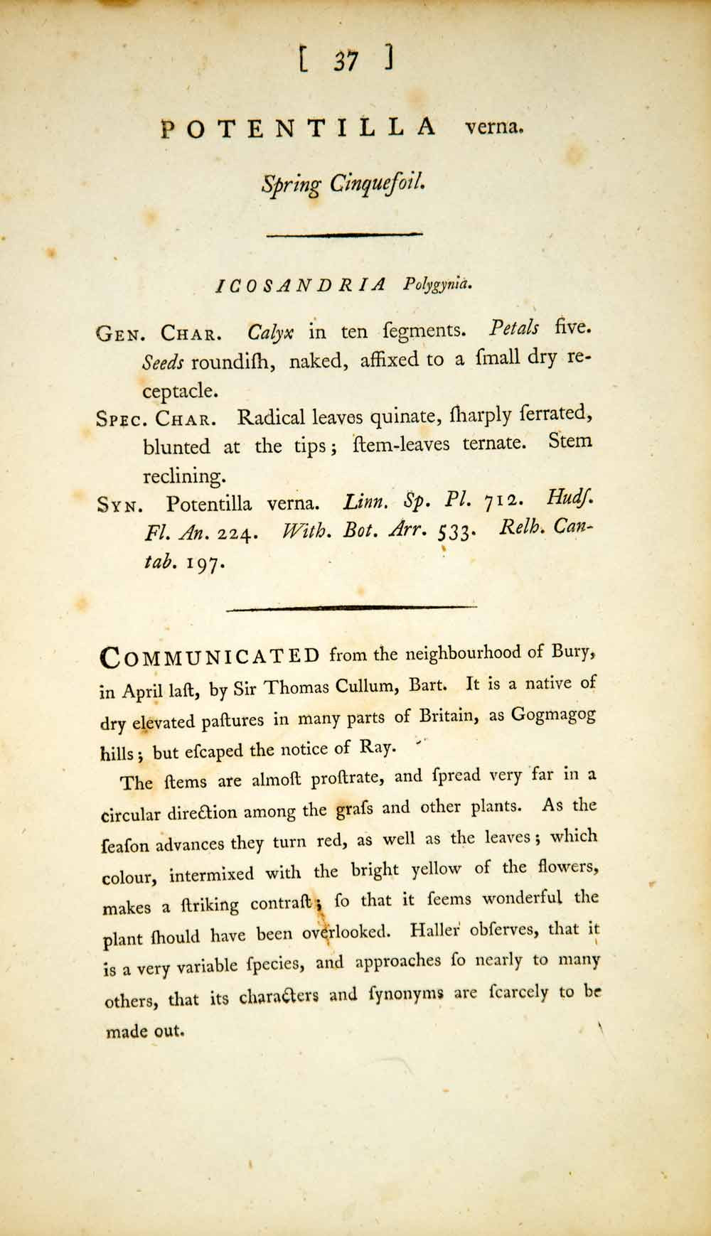 1790 Copper Engraving James Sowerby Potentilla Spring Cinquefoil Botanical EB1 - Period Paper
 - 2