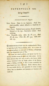 1790 Copper Engraving James Sowerby Potentilla Spring Cinquefoil Botanical EB1 - Period Paper
 - 2