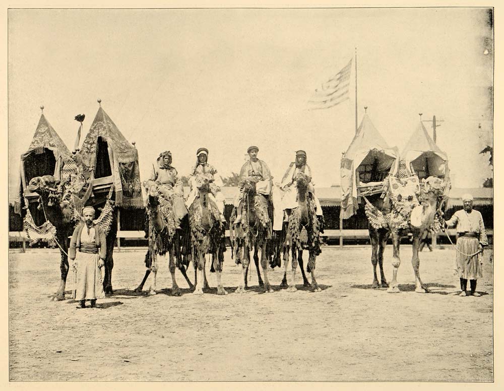 1893 Chicago World's Fair Camels Wild East Show Print ORIGINAL HISTORIC IMAGE