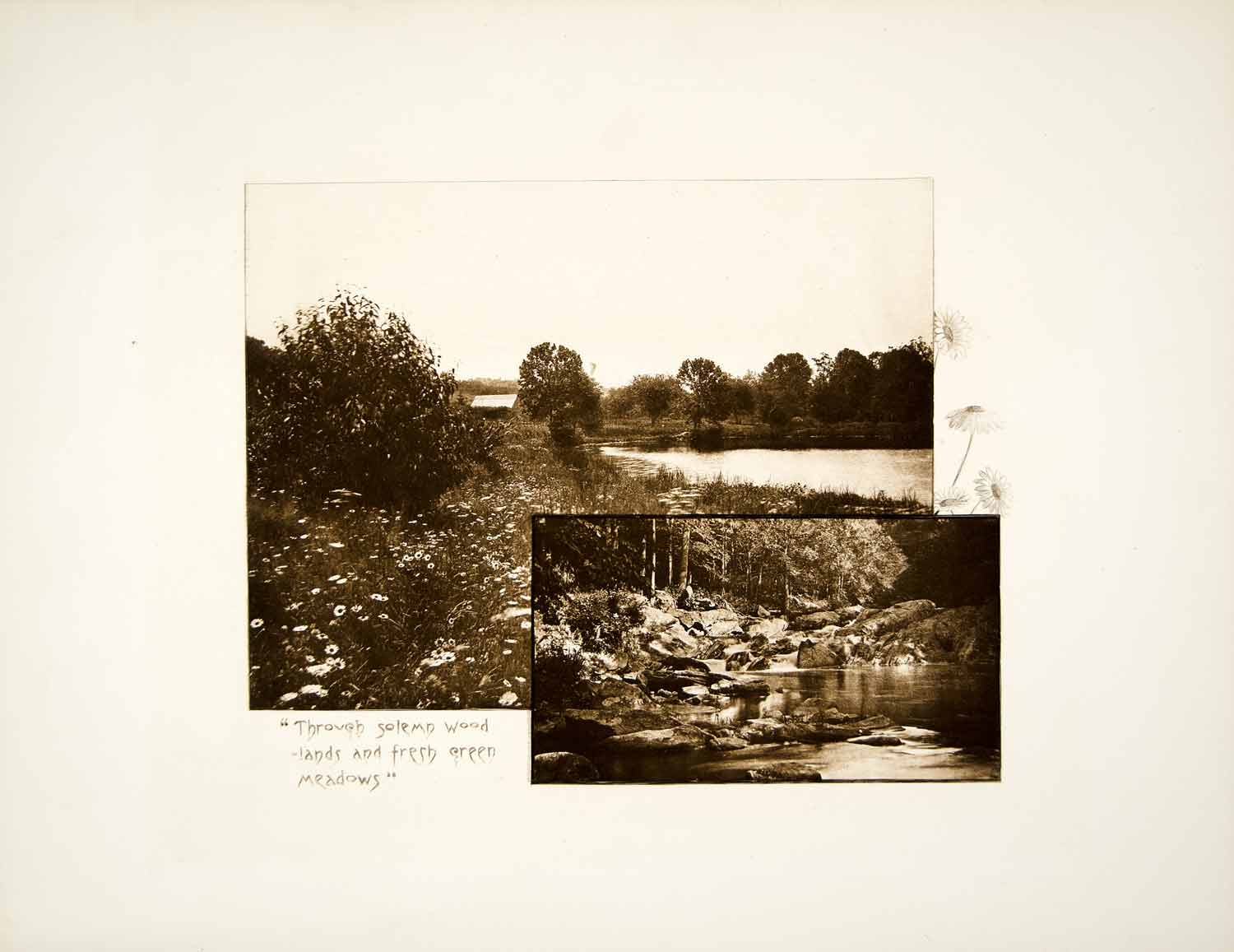 1887 Photogravure Woods Meadow Landscape Sleepy Hollow NY Pocantico River LSH1