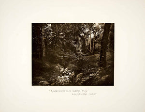 1887 Photogravure Pocantico River Brook Landscape Sleepy Hollow NY Forest LSH1