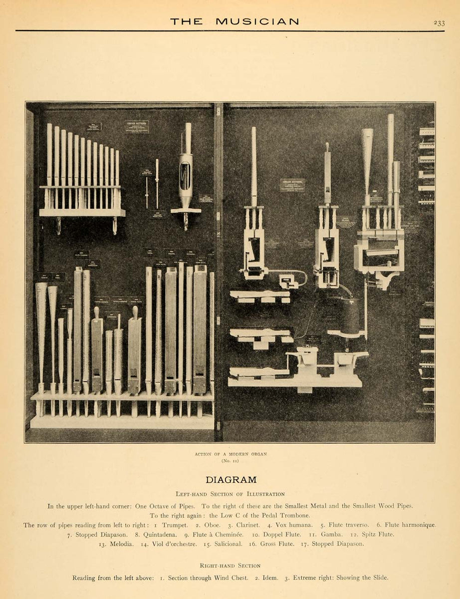 1906 Print Musician Inner Organ Diagram Pipes Octaves ORIGINAL HISTORI