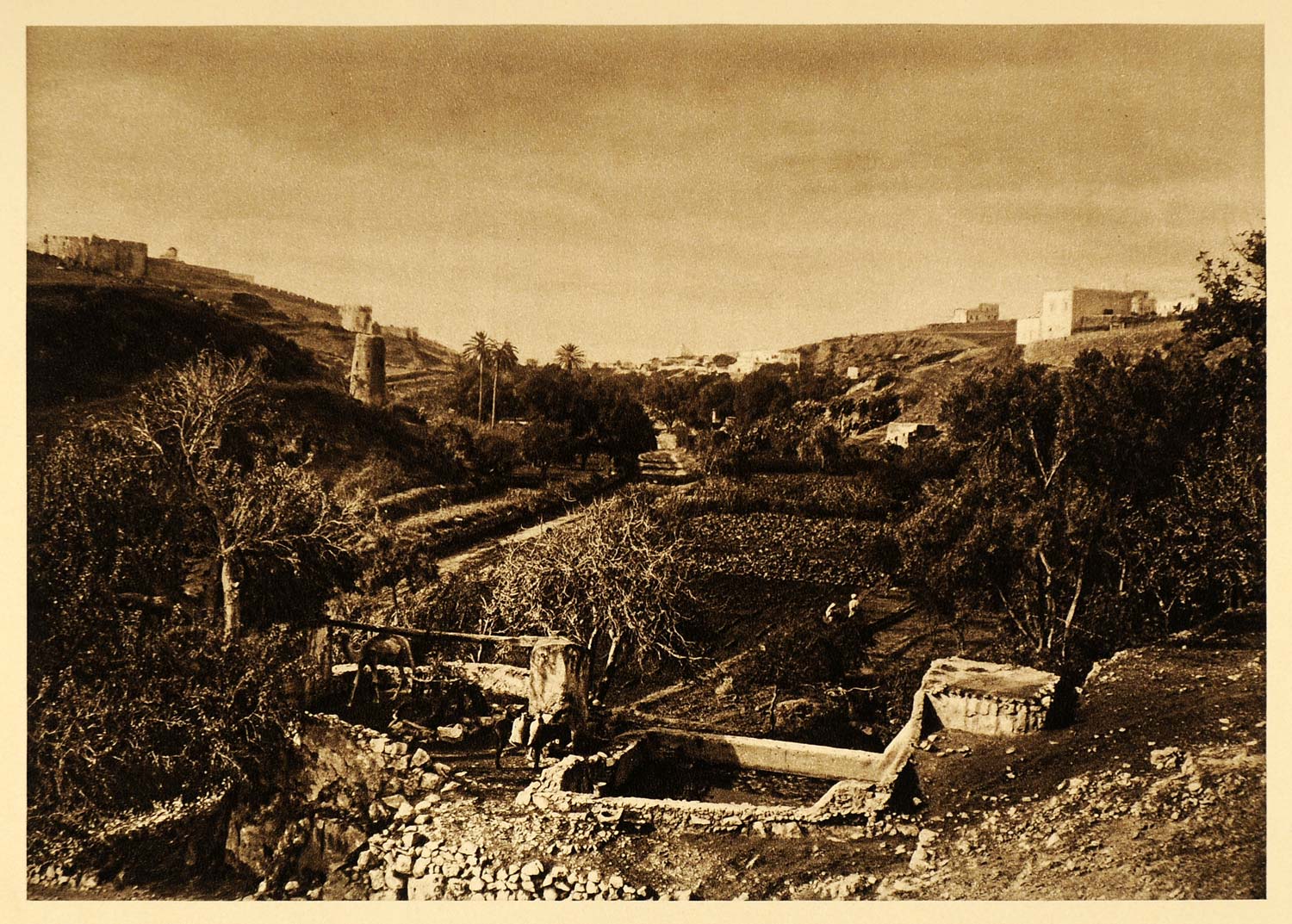 1924 Safi Morocco Moroccan Garden Farm Photogravure - ORIGINAL PHOTOGRAVURE NAF2