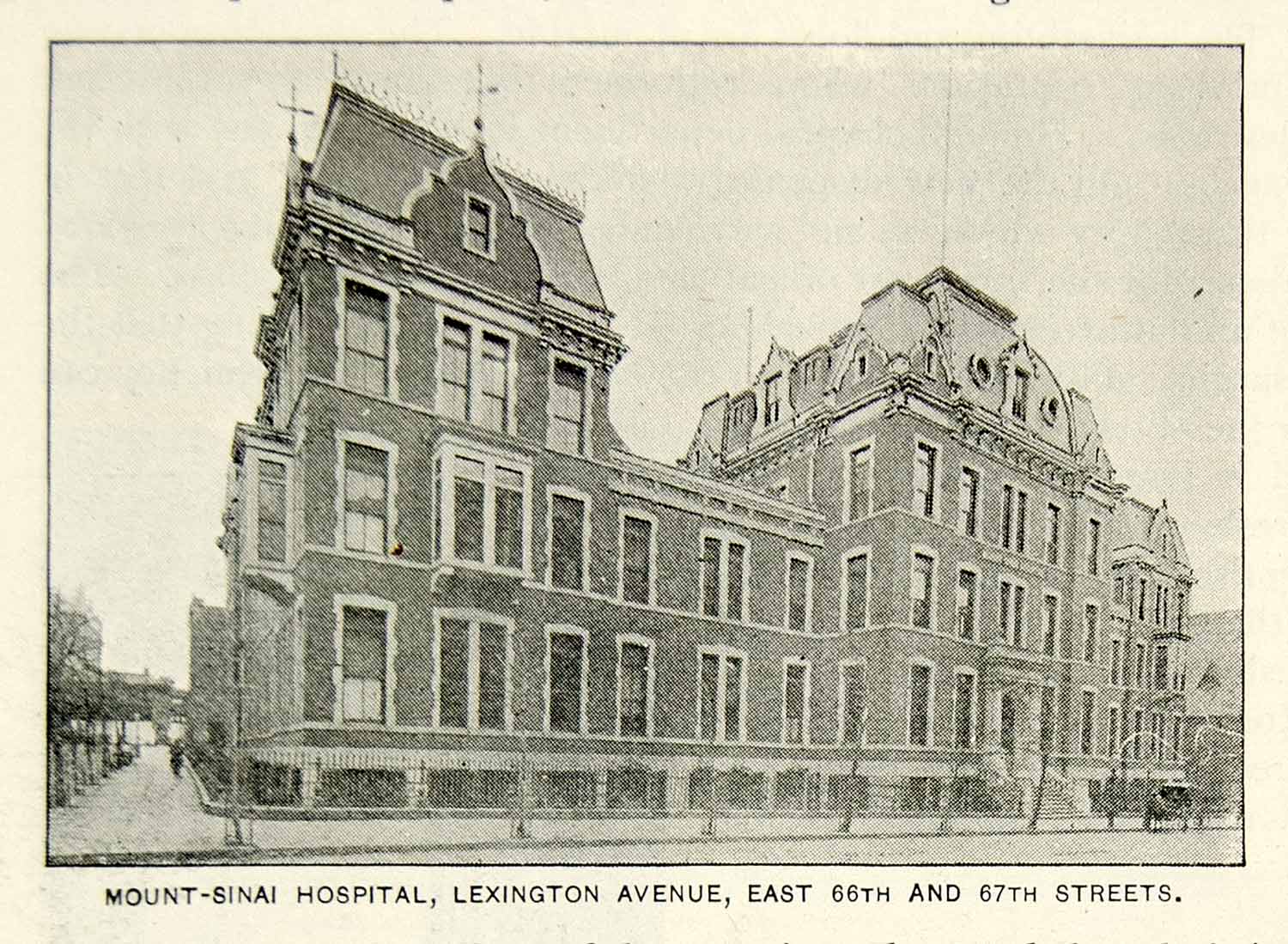 1893 Print Mount Sinai Hospital Building Lexington New York City Historic NY2A