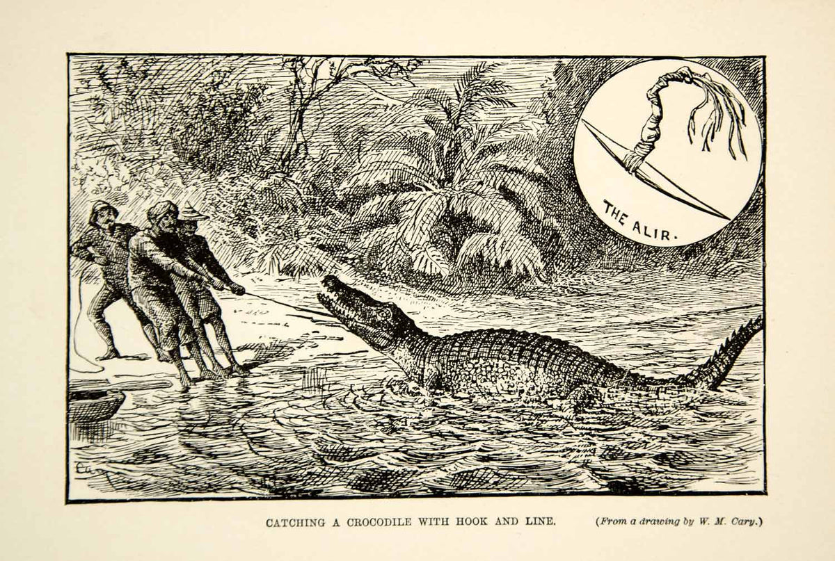 1910 Wood Engraving Crocodile Hunting Malay People Alir Malaysia Wildl –  Period Paper Historic Art LLC