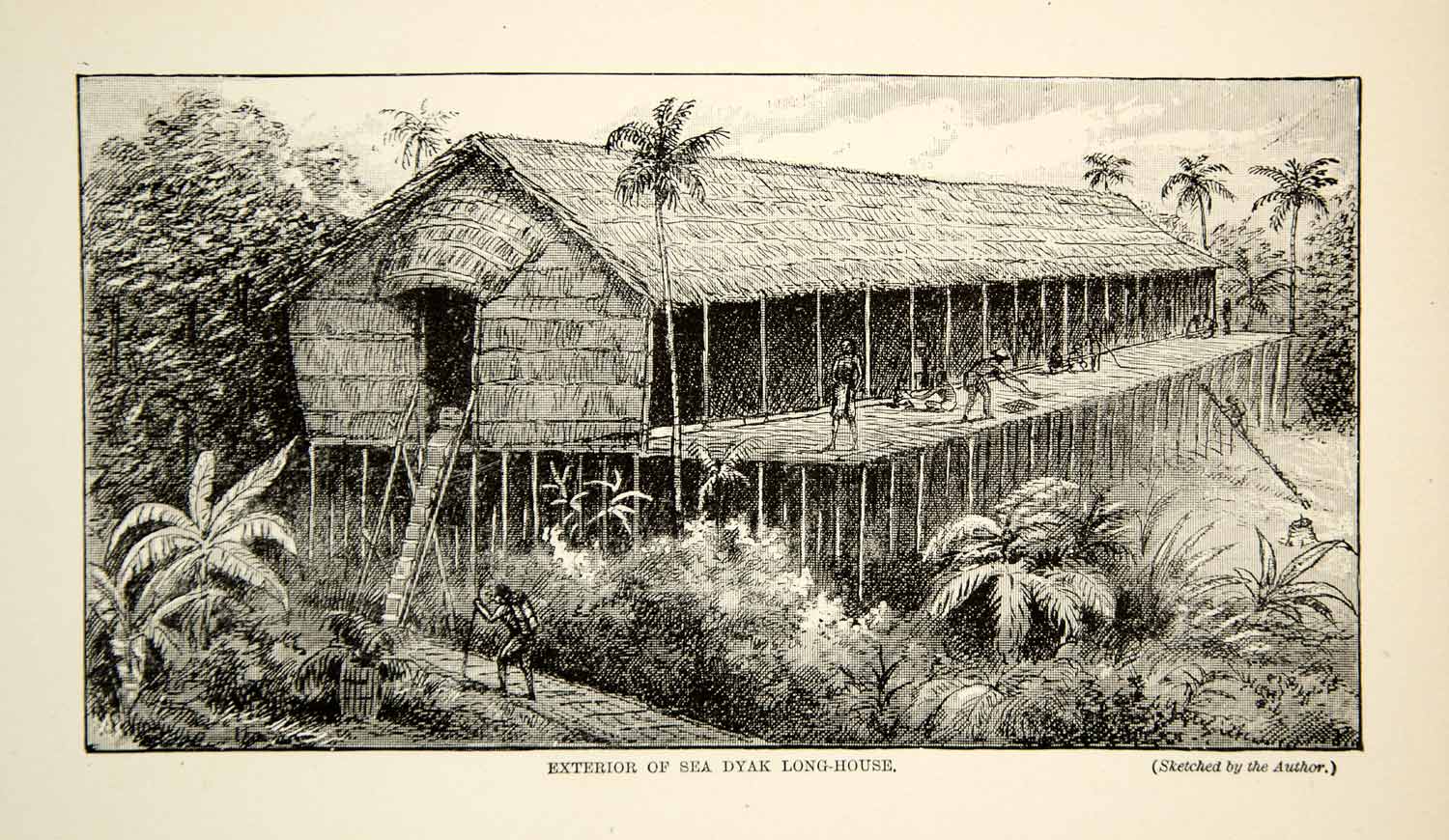 1910 Wood Engraving Sea Dayaks Iban Indigenous People Longhouse Home Borneo TYJ1