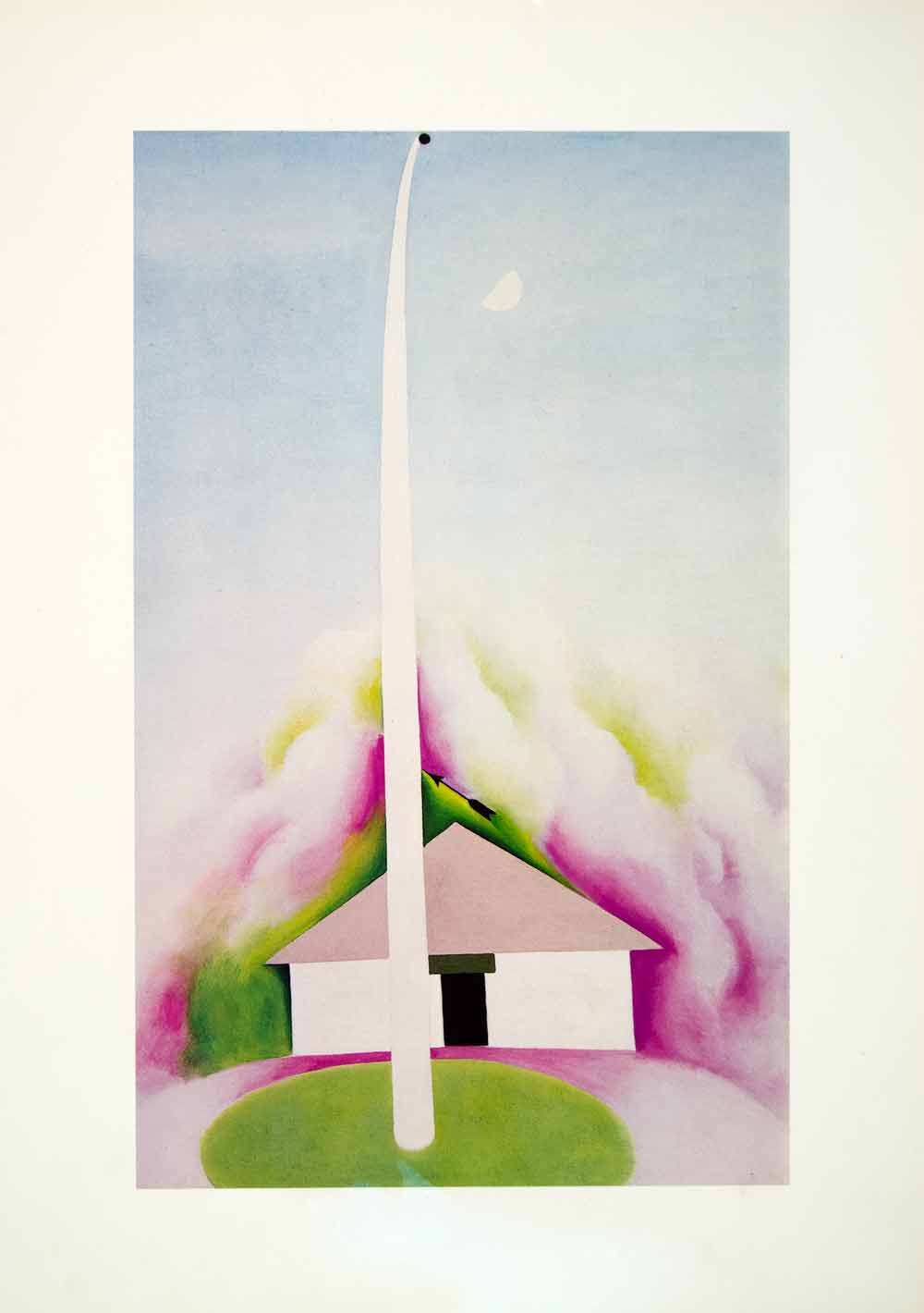 1976 Photolithograph Georgia O'Keeffe Flagpole Pink Green White House XALA6