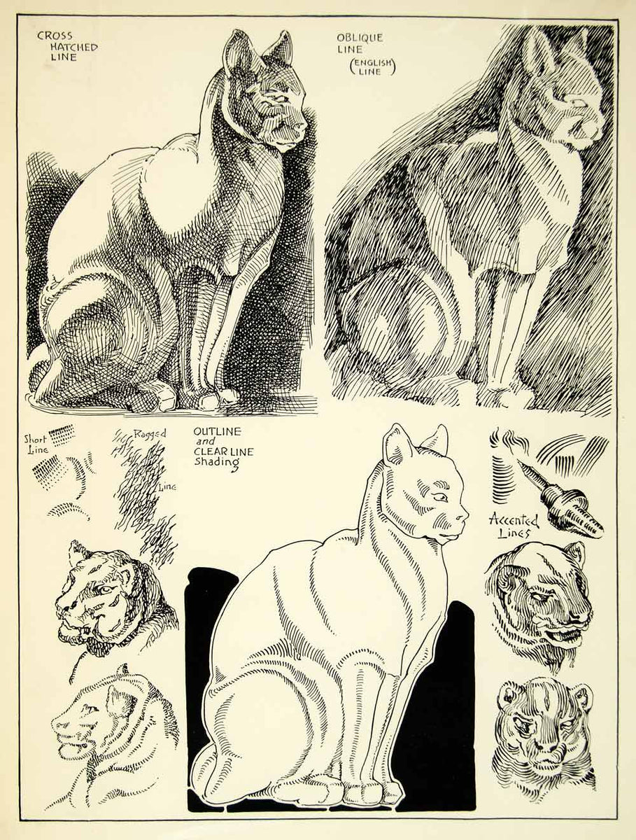 1938 Print Drawing Guide Technique Crosshatch English Line Quality