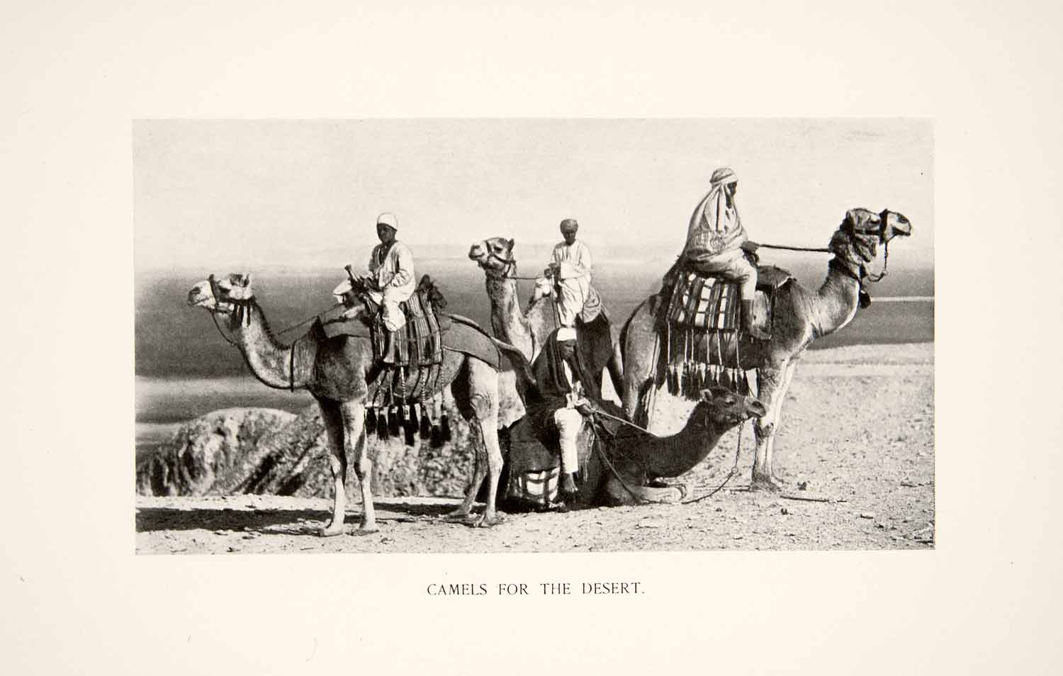 1897 Print Egypt Camel Caravan Desert Travel Transportation Historic Image XGCC8