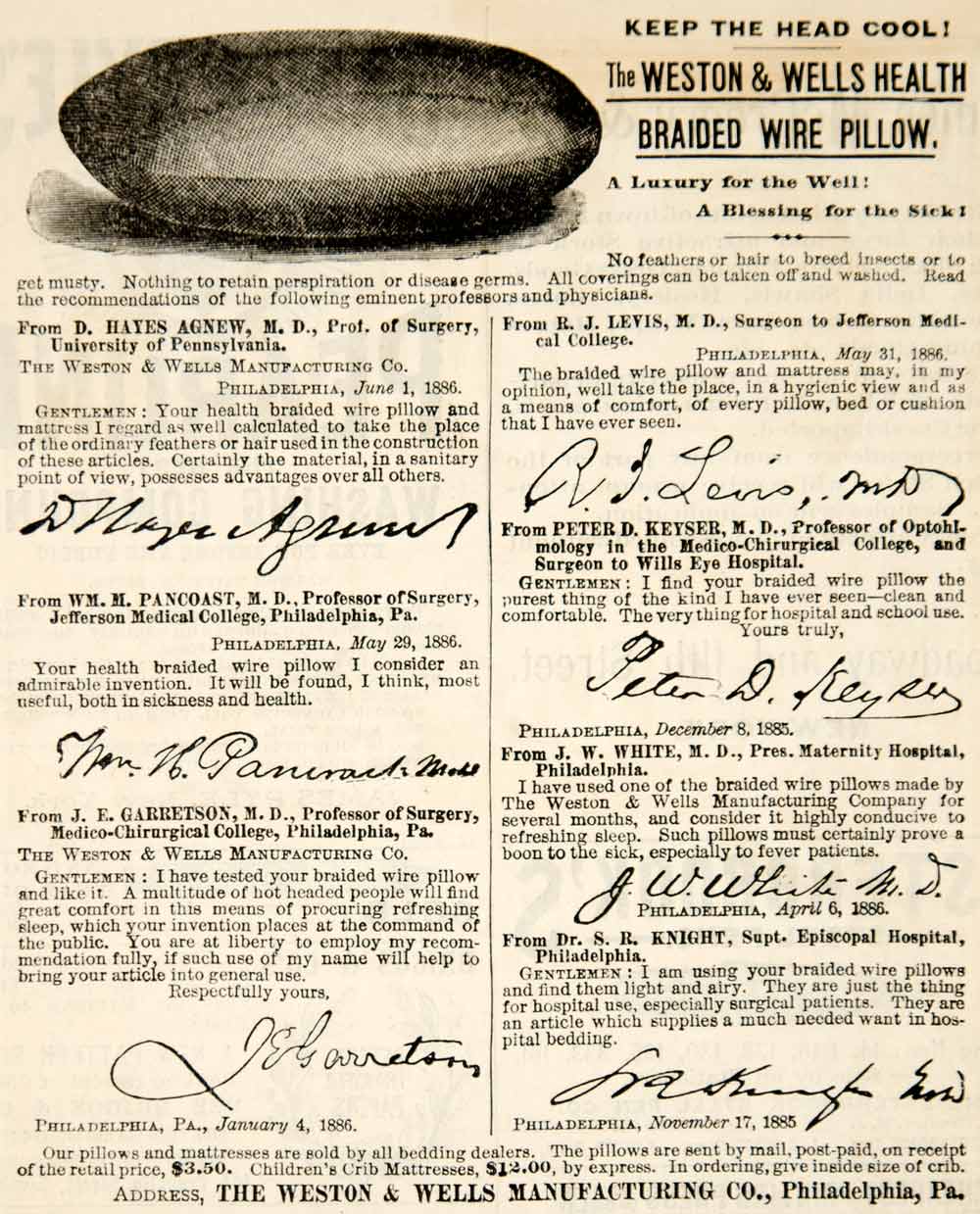 1886 Ad Antique Weston & Wells Health Braided Wire Pillow Testimonials YSN1