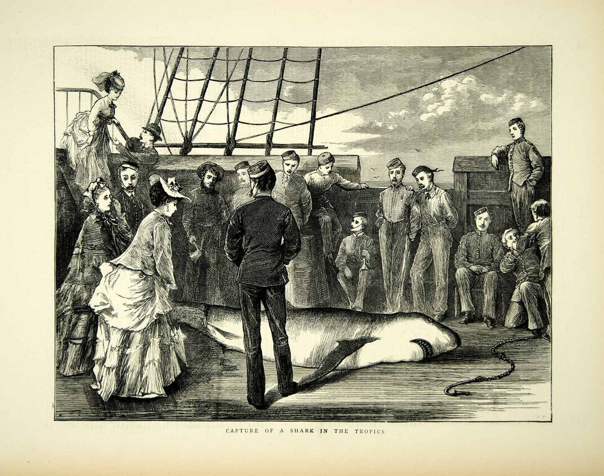 YTG4_172_766fd278-e676-41f8-