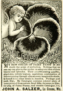 1891 Ad John A Salzer Fairy Pansy Strain Flowers Floral La Crosse Wisconsin YYC1