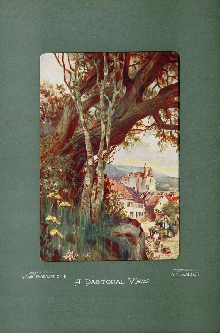 1905 A. E. Warner Pastoral View Drawing Color Print - ORIGINAL 1905