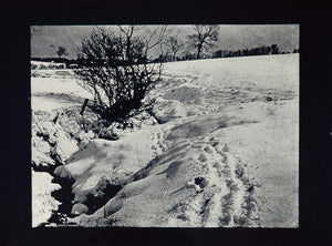 1905 Frozen Brook Winter Snow Tracks Landscape Print - ORIGINAL 1905