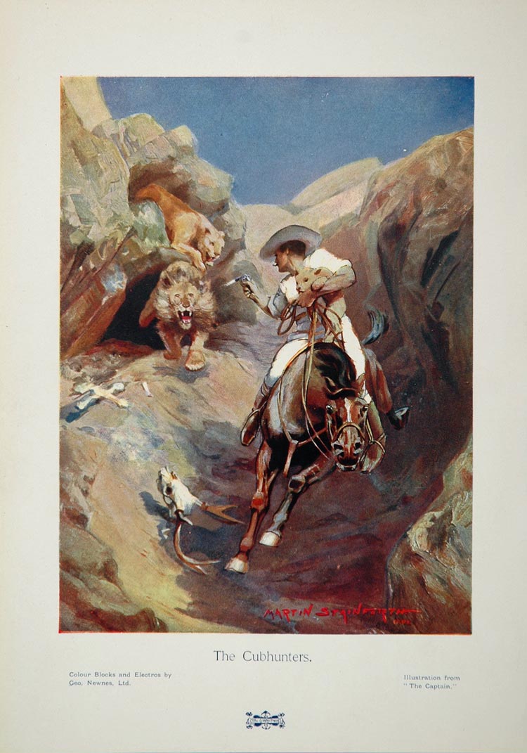 1905 Martin Stainforth Cowboy Hunter Lion Horse Print - ORIGINAL 1905