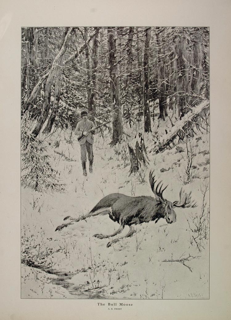 1914 A. B. Frost Hunter Hunting Bull Moose Snow Print ORIGINAL HISTORIC AA1
