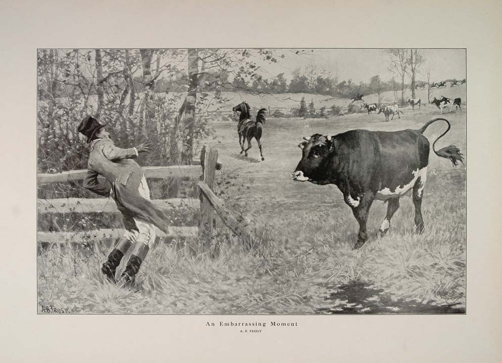 1914 A. B. Frost Horse Rider Bull Cows Pasture Print - ORIGINAL HISTORIC AA1