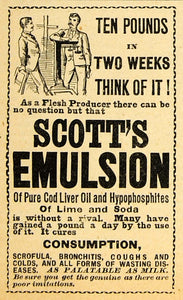 1890 Ad Scott's Emulsion Cod Liver Oil Ailment Cure Bronchitis Wasting AAG1