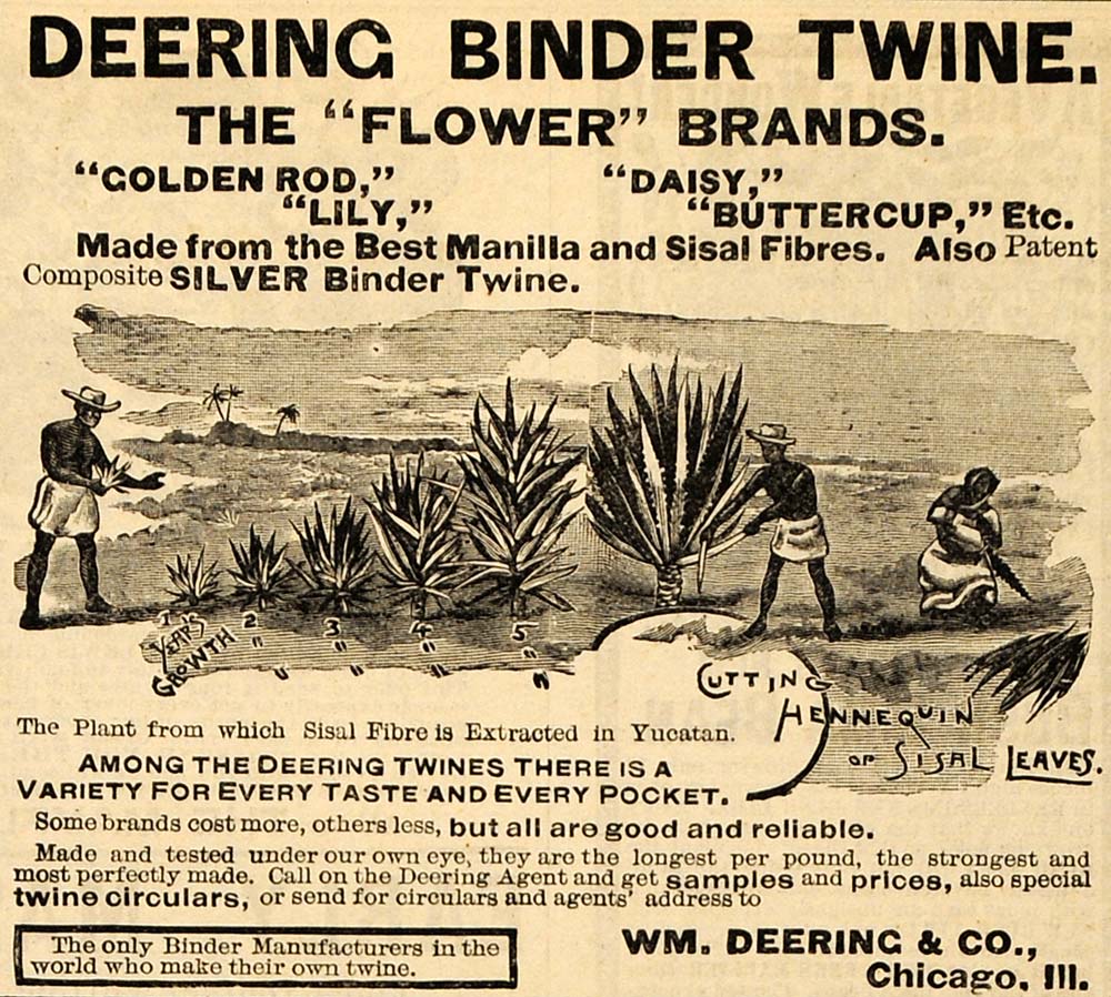 1890 Ad William Deering Binder Twine Flower Brands Golden Rod Gardening AAG1