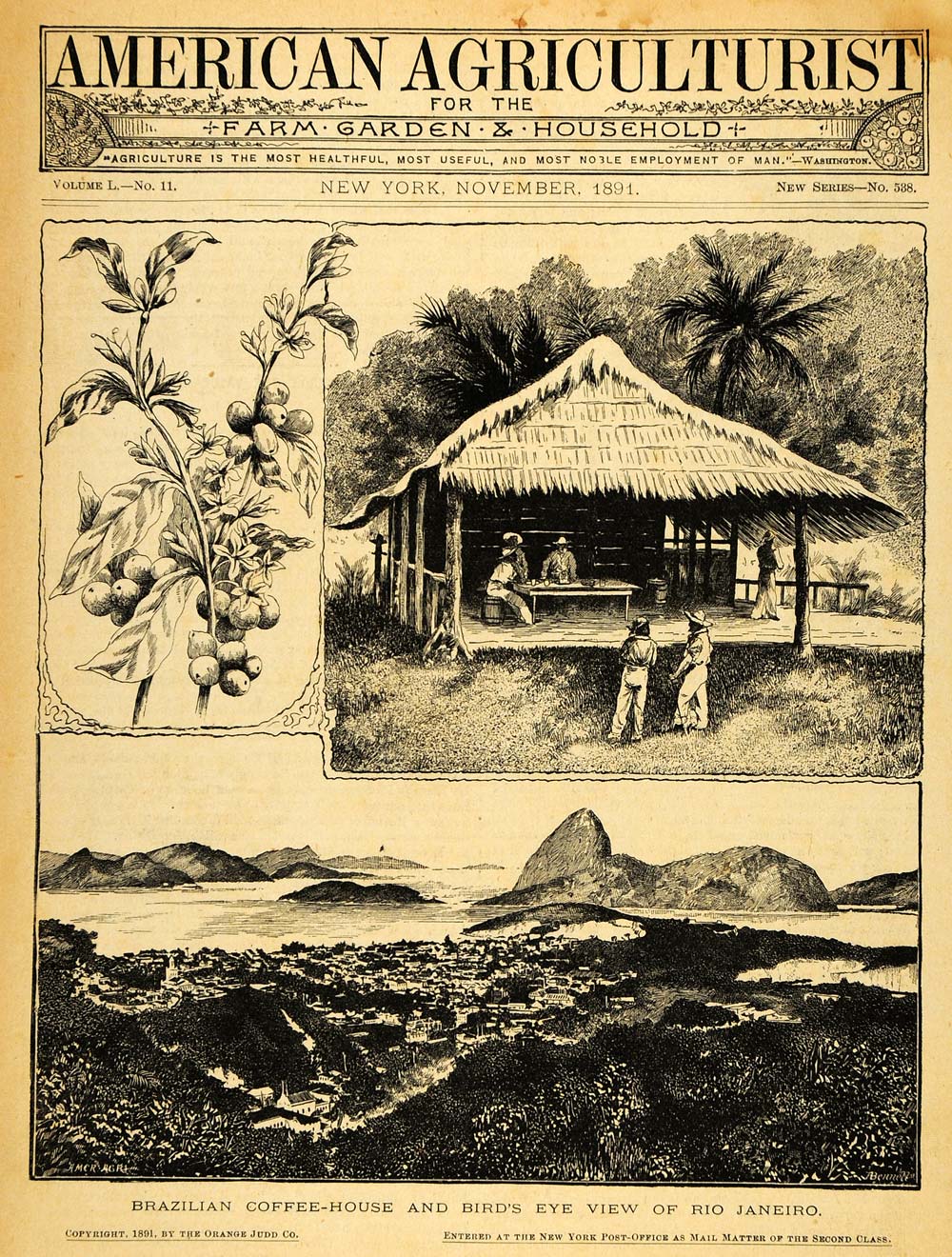 1891 Cover Brazilian Coffee House Rio Janeiro Shack Agriculture Farm AAG1