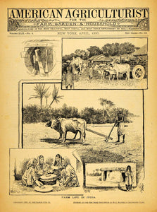 1890 Cover American Agriculturist Farm Life India Cattle Livestock AAG1