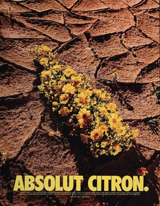 1998 Ad Absolut Citron Vodka Yellow Flowers Desert NICE - ORIGINAL ABS2