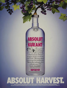 1993 Ad Absolut Kurant Grapes Leaves Branch Bottle NICE - ORIGINAL ABS2