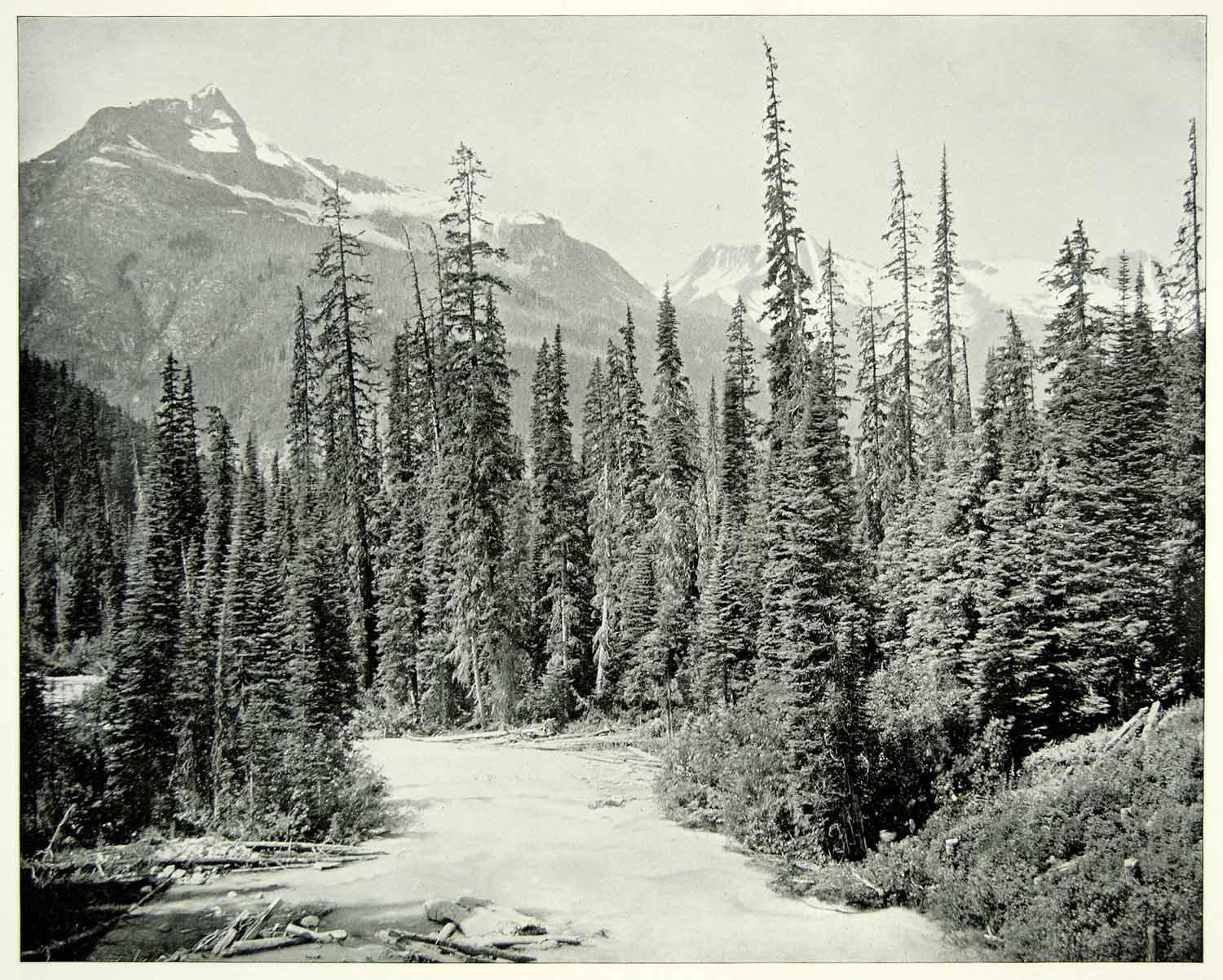 1894 Print Mt Cheops Hermit Selkirk Range Rocky Mountains Canada Wilderness AC1