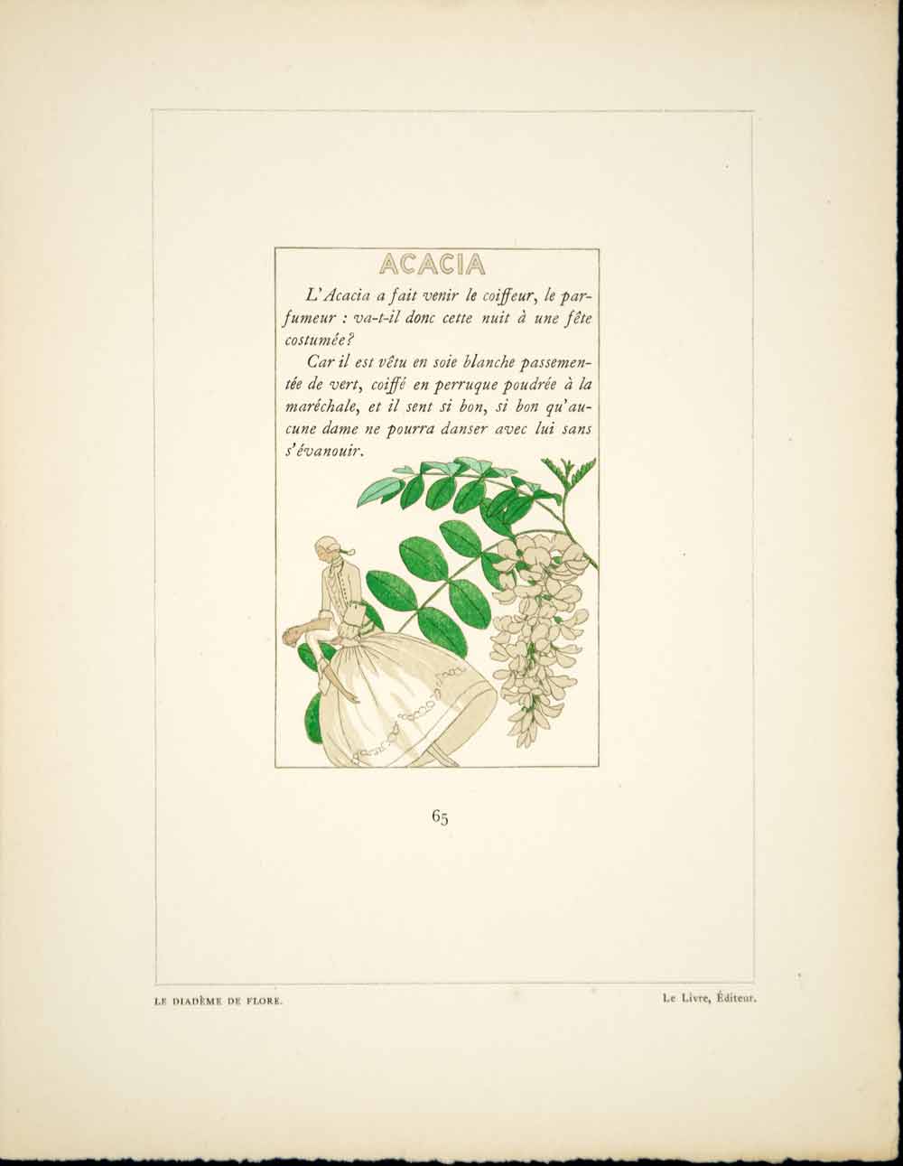 1930 Pochoir Print A E Marty Acacia Botantical Diademe de Flore ADLM1