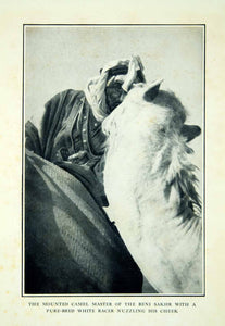 1927 Print Beni Sakhr Camel Master Nomadic Bedouin Tribe Jordan Middle East ADV1