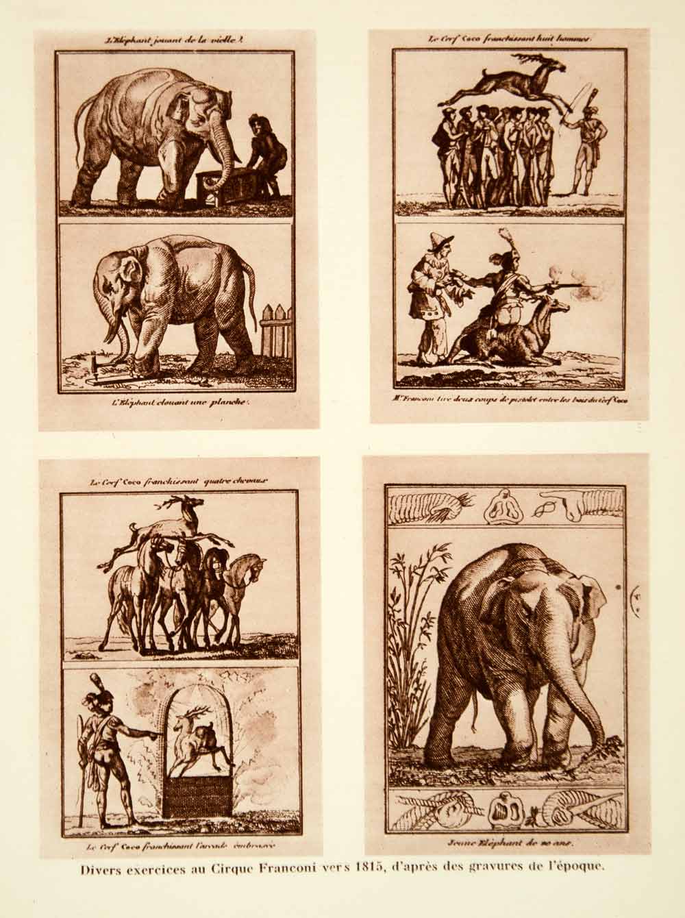 1931 Photolithograph Cirque Franconi Circus Elephant Animal Tricks Training AEC2
