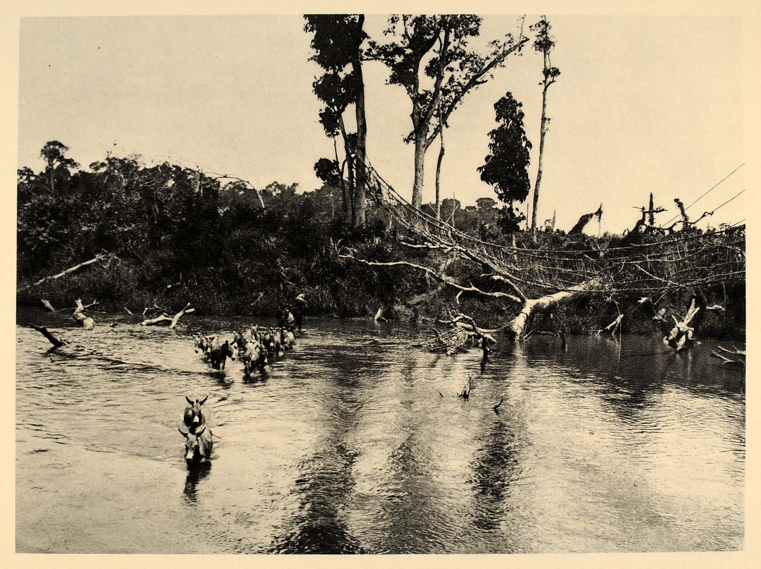 1930 Nsang River Cameroon Africa Hausa Photogravure - ORIGINAL PHOTOGRAVURE AF2