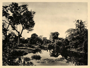 1930 Swamp Land Leopoldville Kinshasa Congo Landscape - ORIGINAL AF2