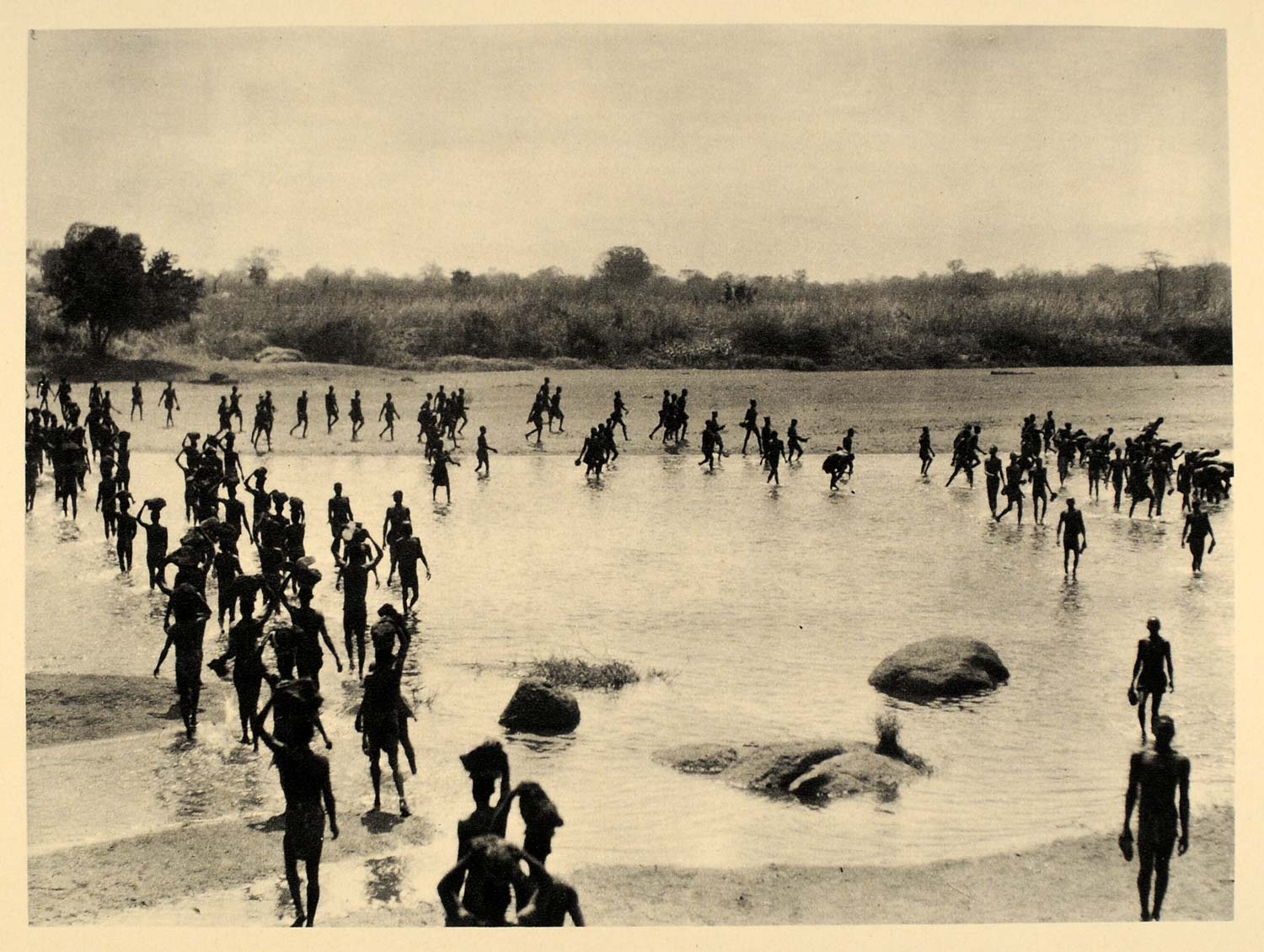 1930 Moru People Building Bridge Sudan Hugo Bernatzik - ORIGINAL AF2