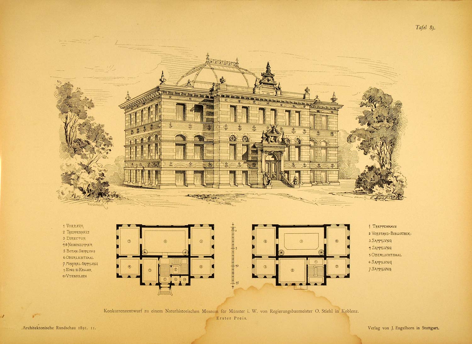 1891 Print Natural History Museum Munster Architecture ORIGINAL HISTORIC AR2