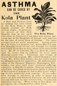 1905 Ad Kola Importing Co. Plant Asthma Treatment NY - ORIGINAL ADVERTISING ARG1