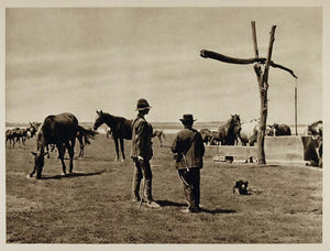 1928 Herd Horses Two Men Tadten Austria Kurt Hielscher - ORIGINAL AUS2