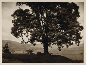 1928 St. Martin Strassgang Austria Austrian Landscape - ORIGINAL AUS2