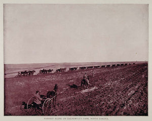 1893 Print Dalrymple Farm North Dakota Wheat Harvest - ORIGINAL HISTORIC AW2 - Period Paper
