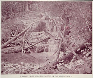 1893 Print Surprise Falls Gill Brook Adirondacks NY - ORIGINAL HISTORIC AW2