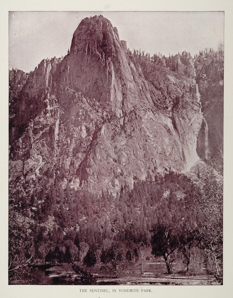 1893 Duotone Print Sentinel Rock Yosemite Park NICE - ORIGINAL AW
