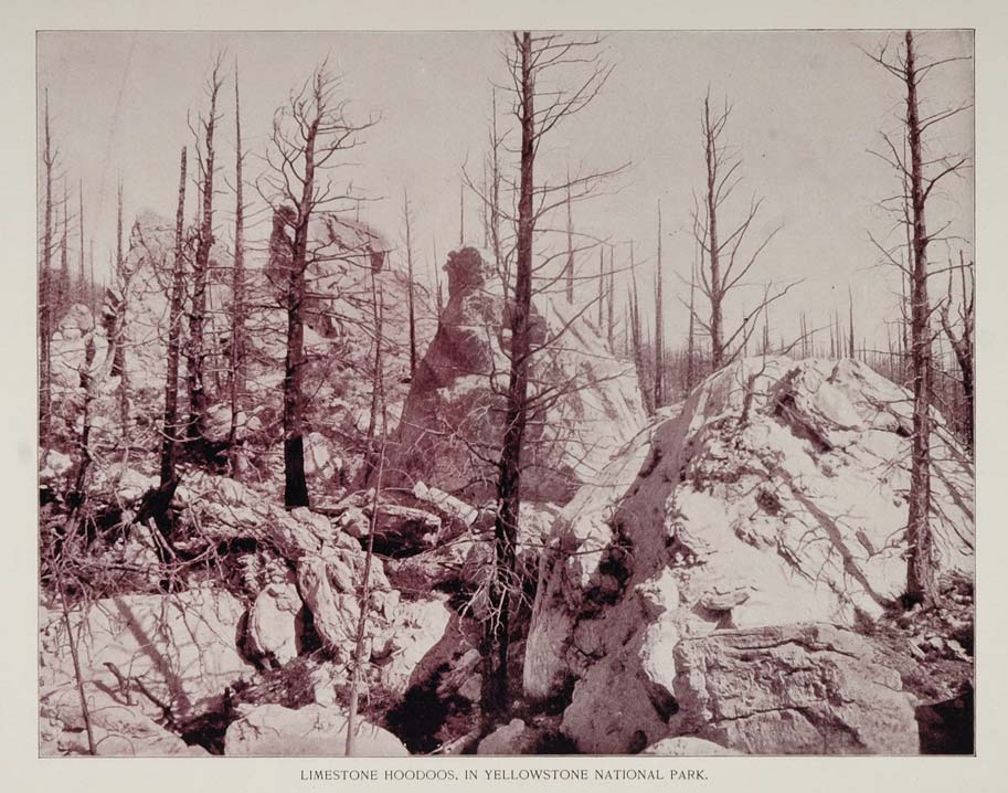 1893 Print Limestone Hoodoos Yellowstone National Park - ORIGINAL AW