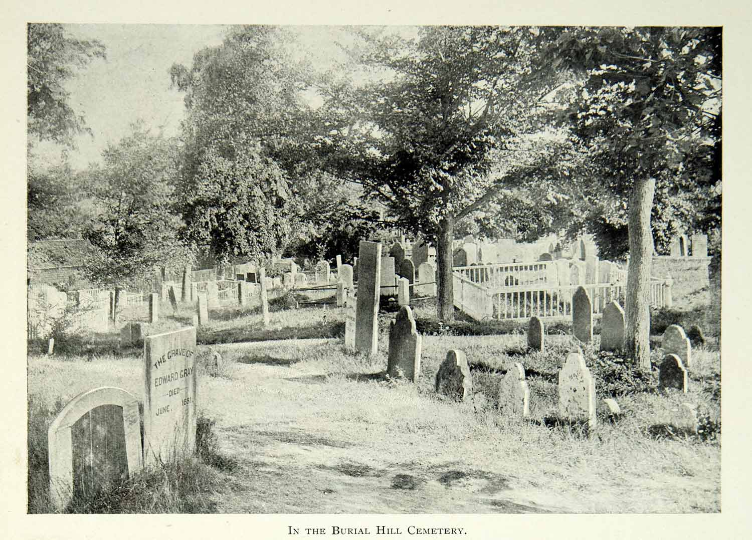 1902 Print Burial Hill Cemetery Plymouth MA Pilgrim Tombstones Historic BVM1