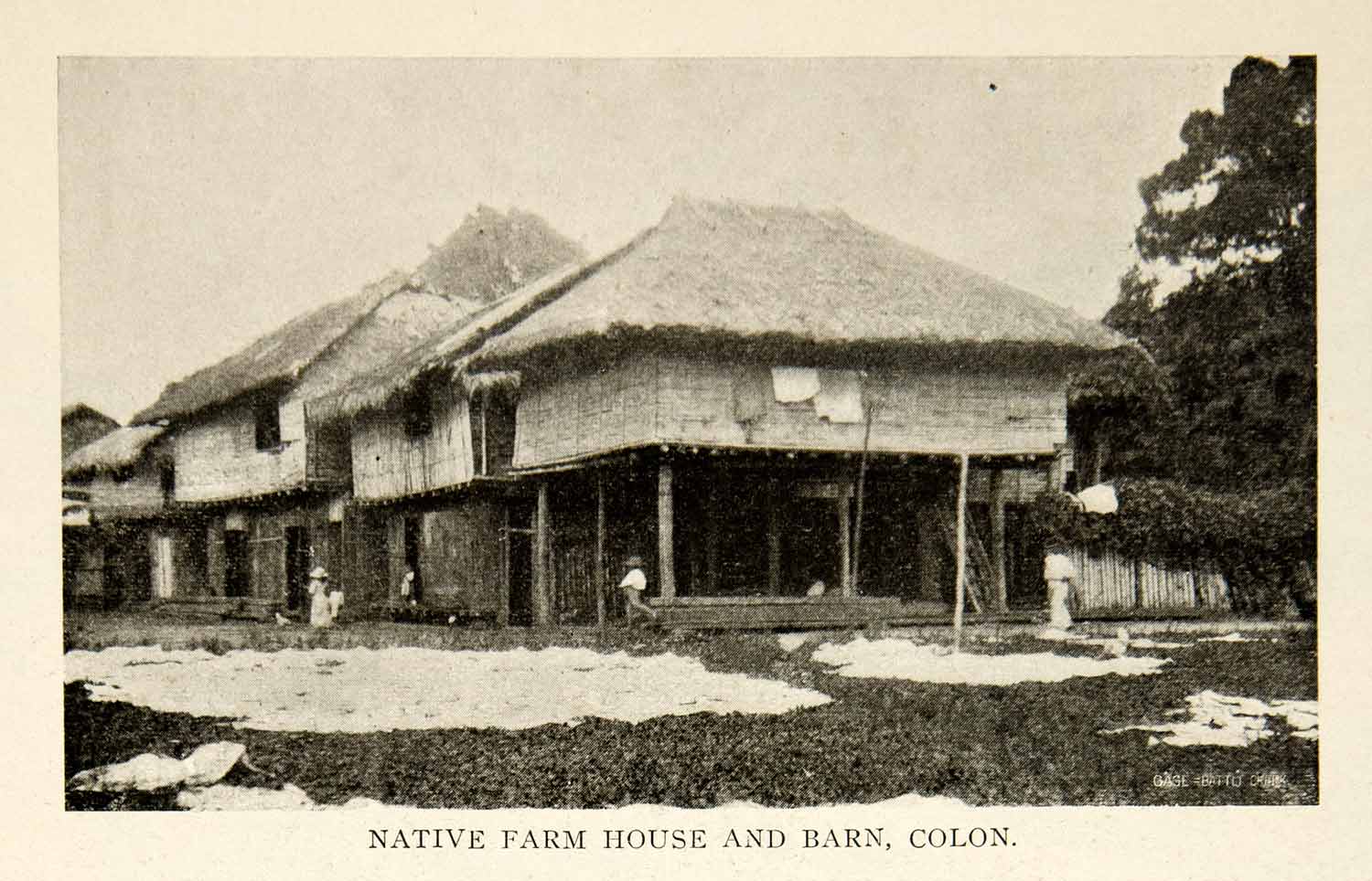 1908 Print Colon Sea Port Carribean Sea Panama Canal Province Manzanillo BVM2