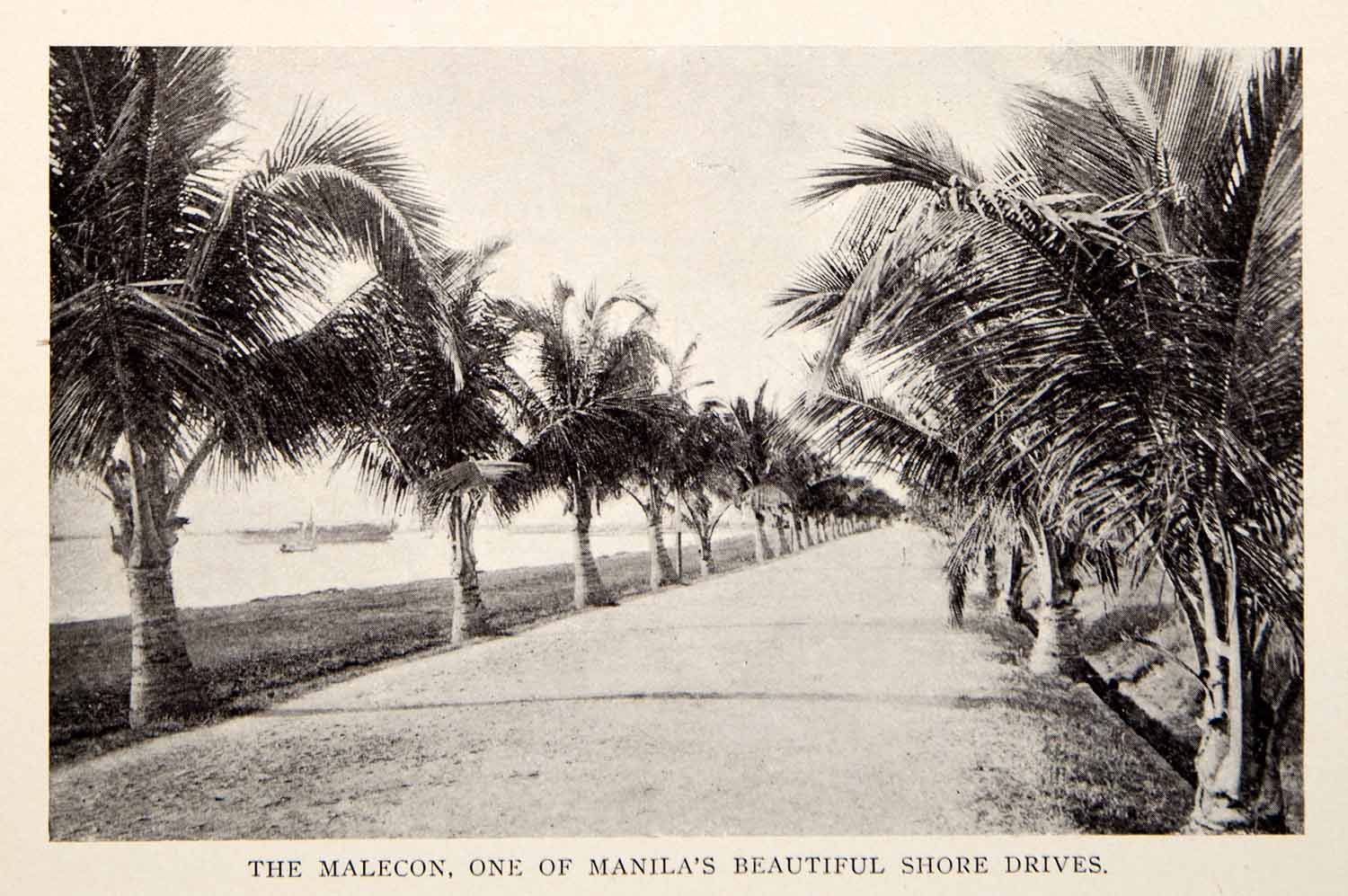 1908 Print Malecon Shore Road Sea Coast Beach Water Palm Trees Travel BVM2