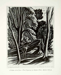 1931 Print Ethelbert White Corner Forest Buck Trees Glen Woods Grove Copse CA1