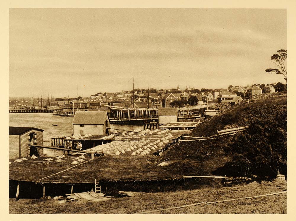 1926 Fish Drying Racks Lunenburg Nova Scotia Canada - ORIGINAL PHOTOGRAVURE CAN2