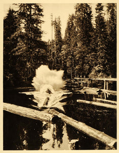 1926 Lumbering Timber Logs River New Brunswick Canada - ORIGINAL CAN2