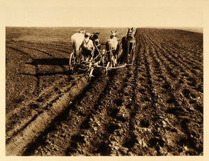 1926 Farm Field Horse Plow Plowing Prairie Manitoba - ORIGINAL PHOTOGRAVURE CAN2